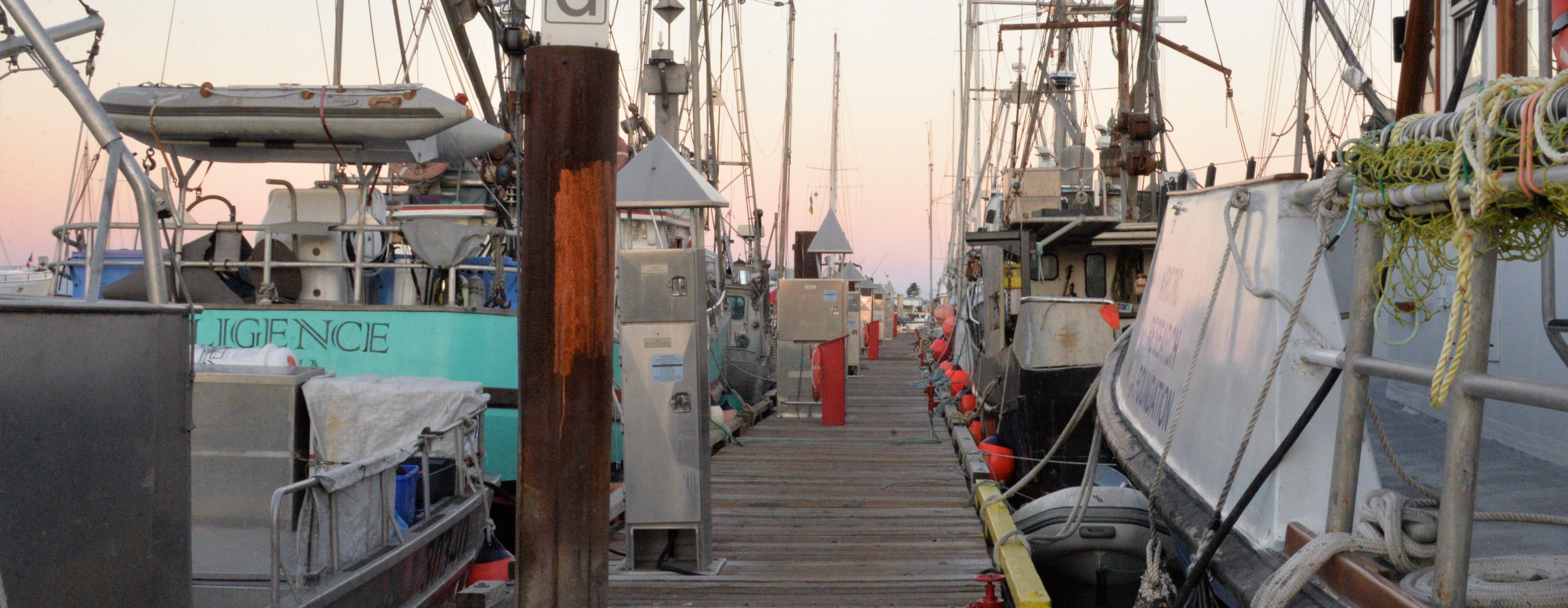 Down a dock photo